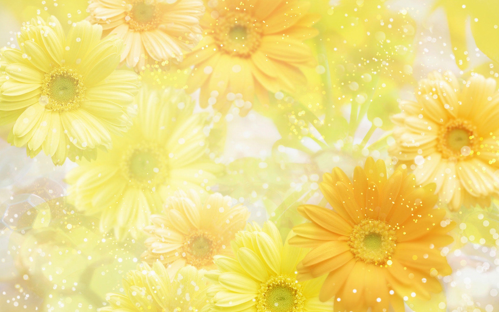 Spring Wallpaper HD Desktop Background Flowers