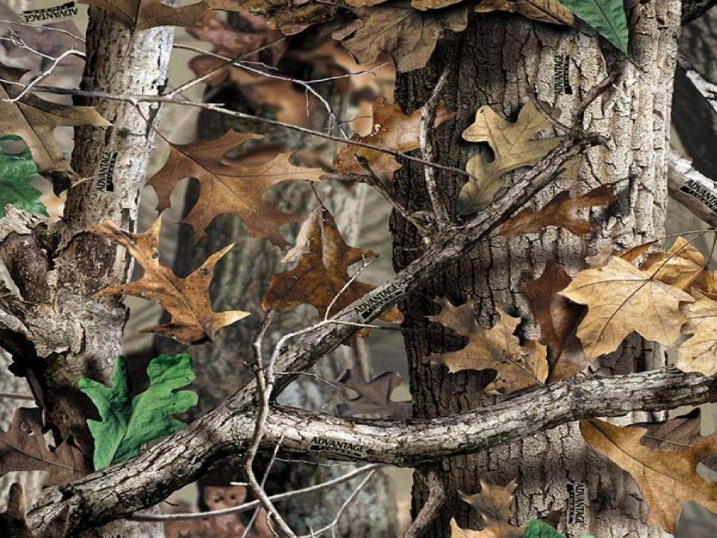 Wallpapers For Realtree Camo Wallpaper For Computer