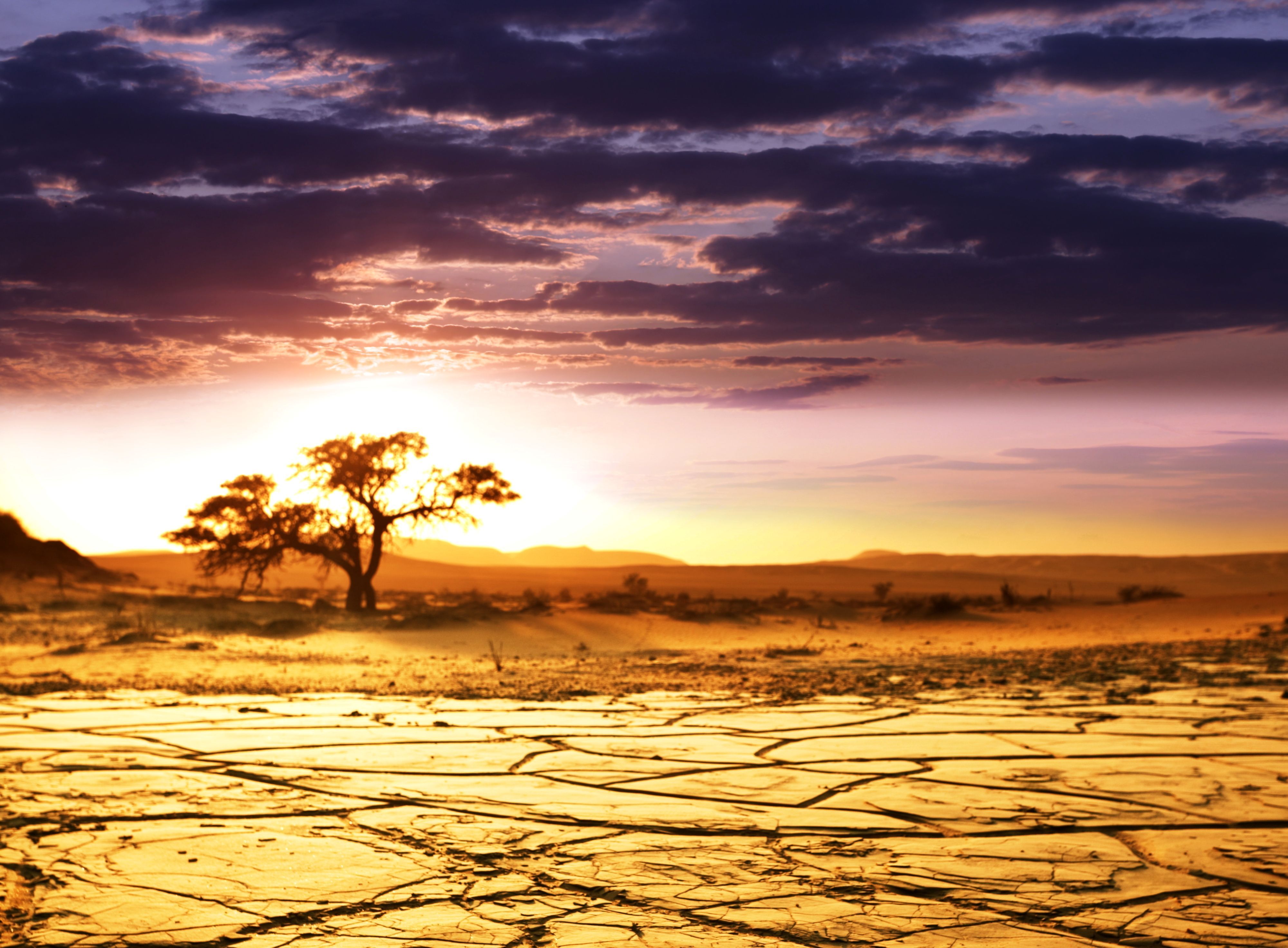 Wallpaper Africa Savannah Landscape Horizon