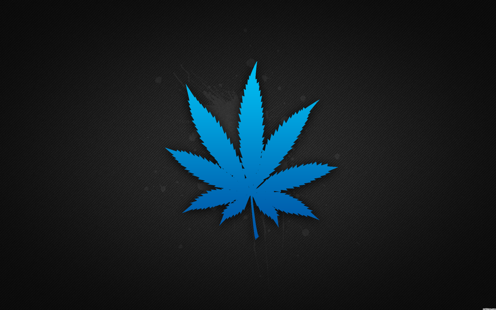 Weedlivewallpaperpot Cached Feb Somewhere Anglais