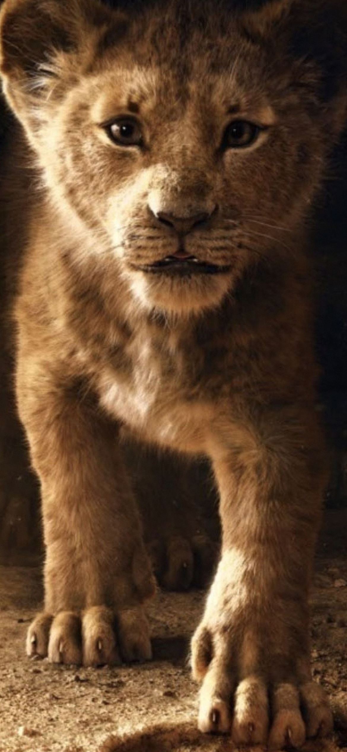 The Lion King Simba 4k iPhone Wallpaper