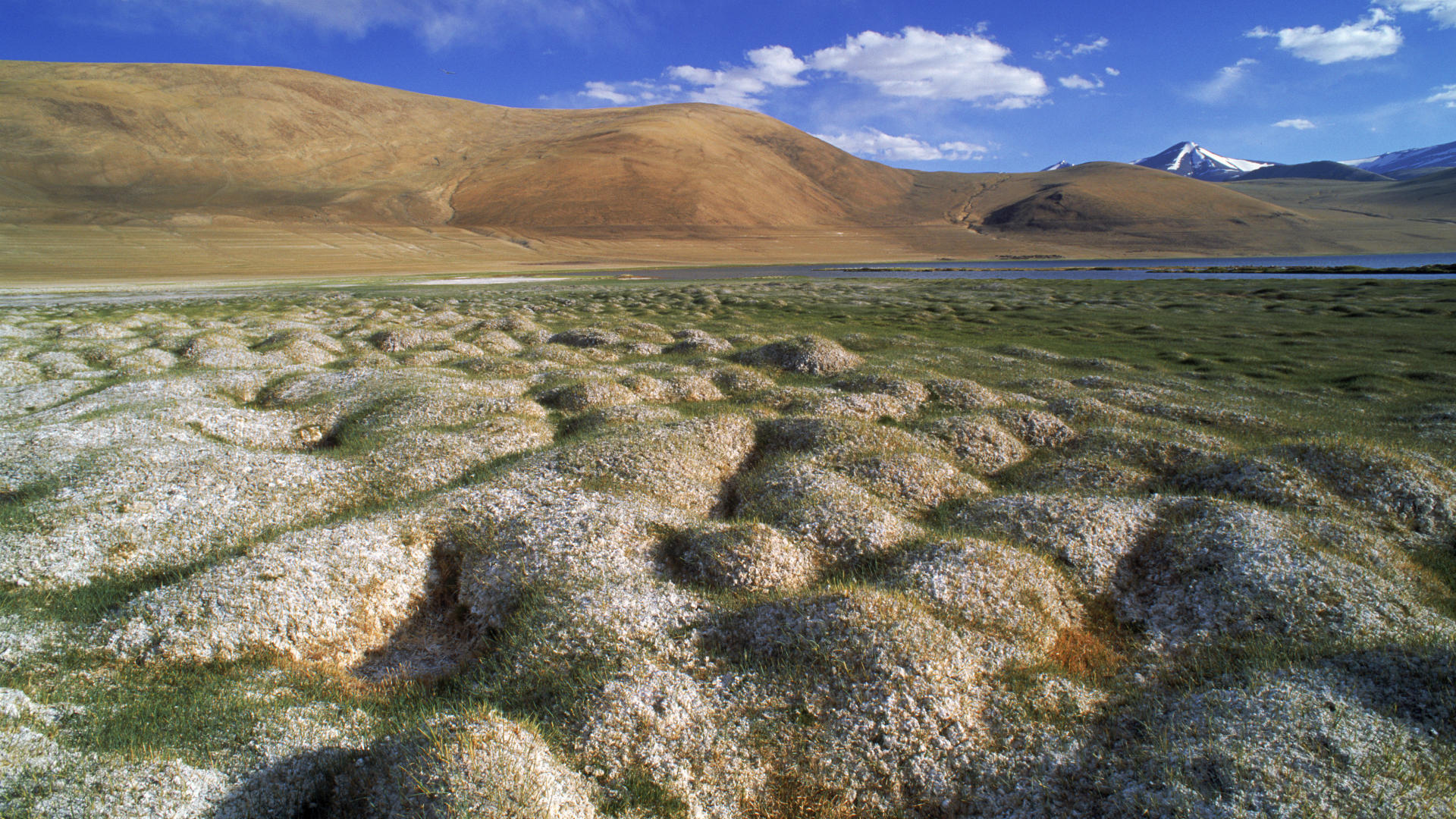 Tussocks Of Permafrost Next To Water With Mountains Mountain