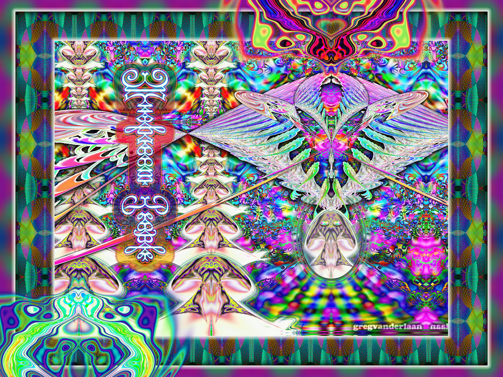 Displaying Image For Trippy Mushroom Background