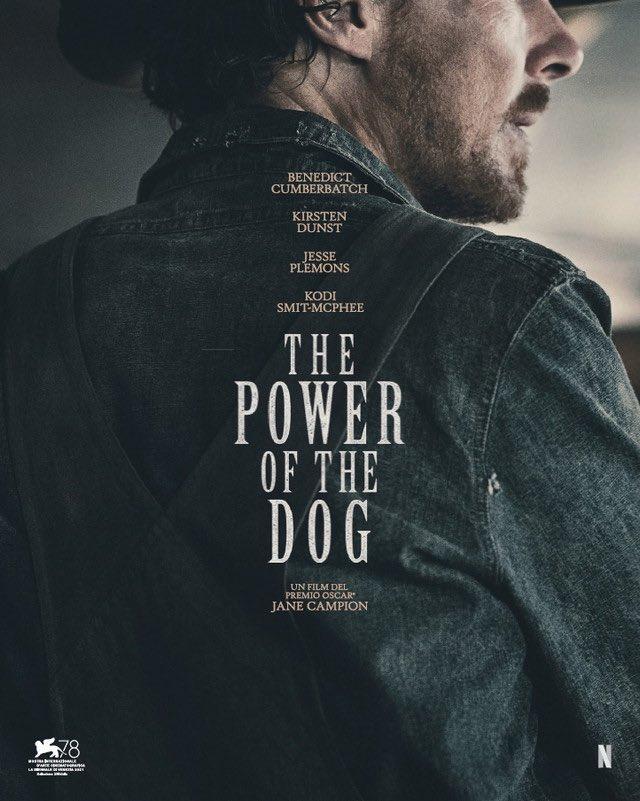Image Gallery For The Power Of Dog Filmaffinity