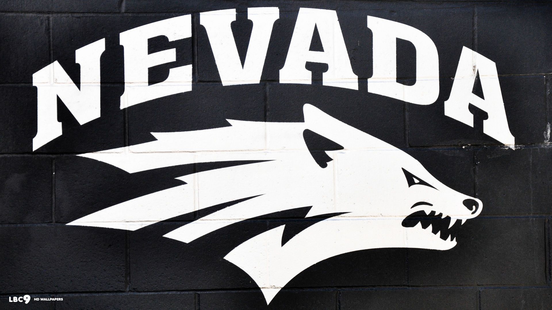 Nevada Wolf Pack Wallpaper College Athletics HD Background