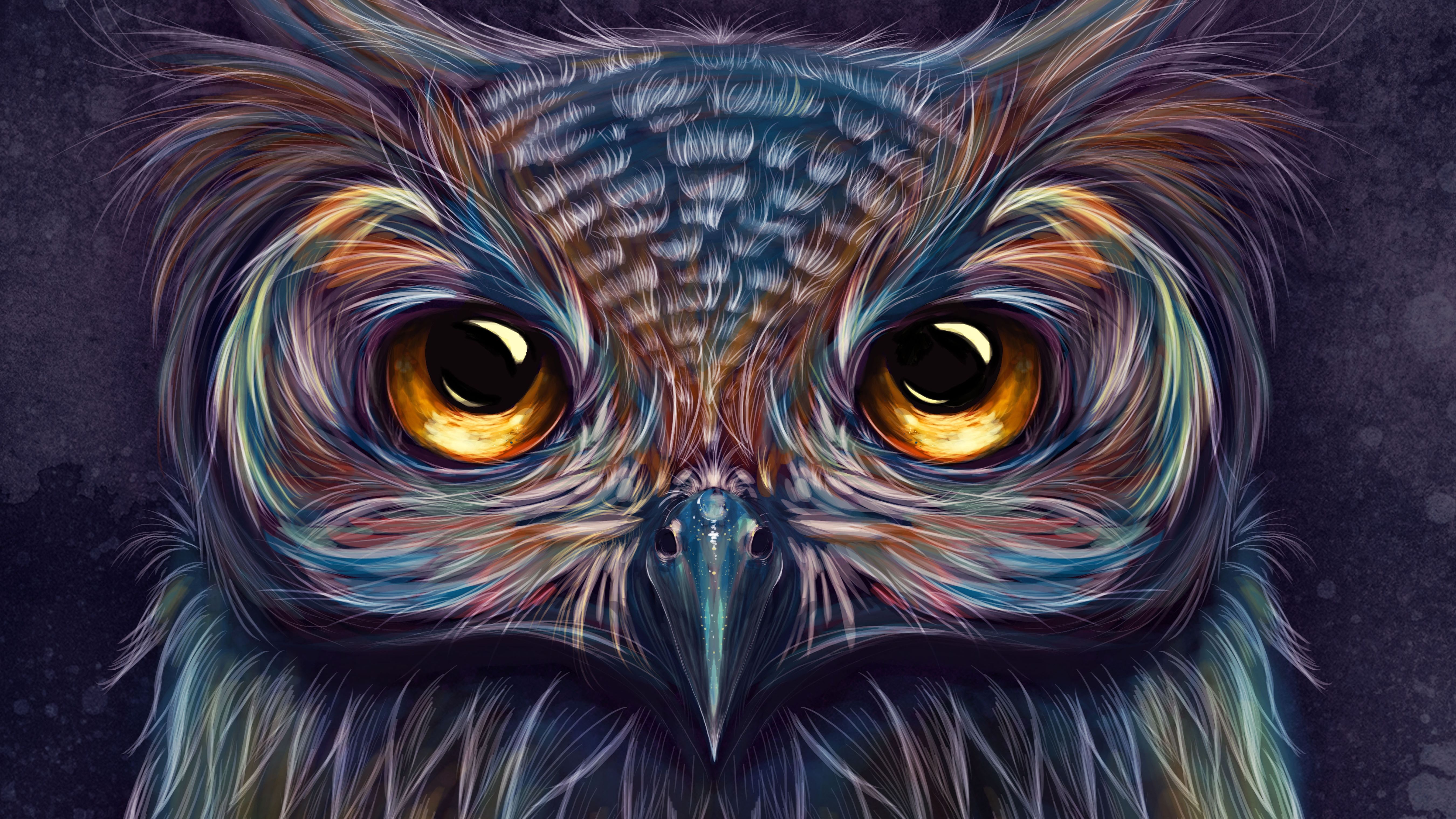 Art Owl Wallpaper Top Background