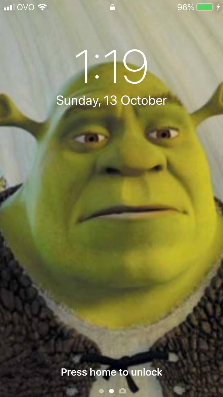 This Has Been My Wallpaper For A Very Long Time R Shrek