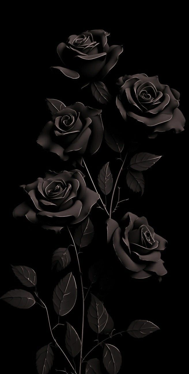 Black Rose Aesthetic Wallpaper