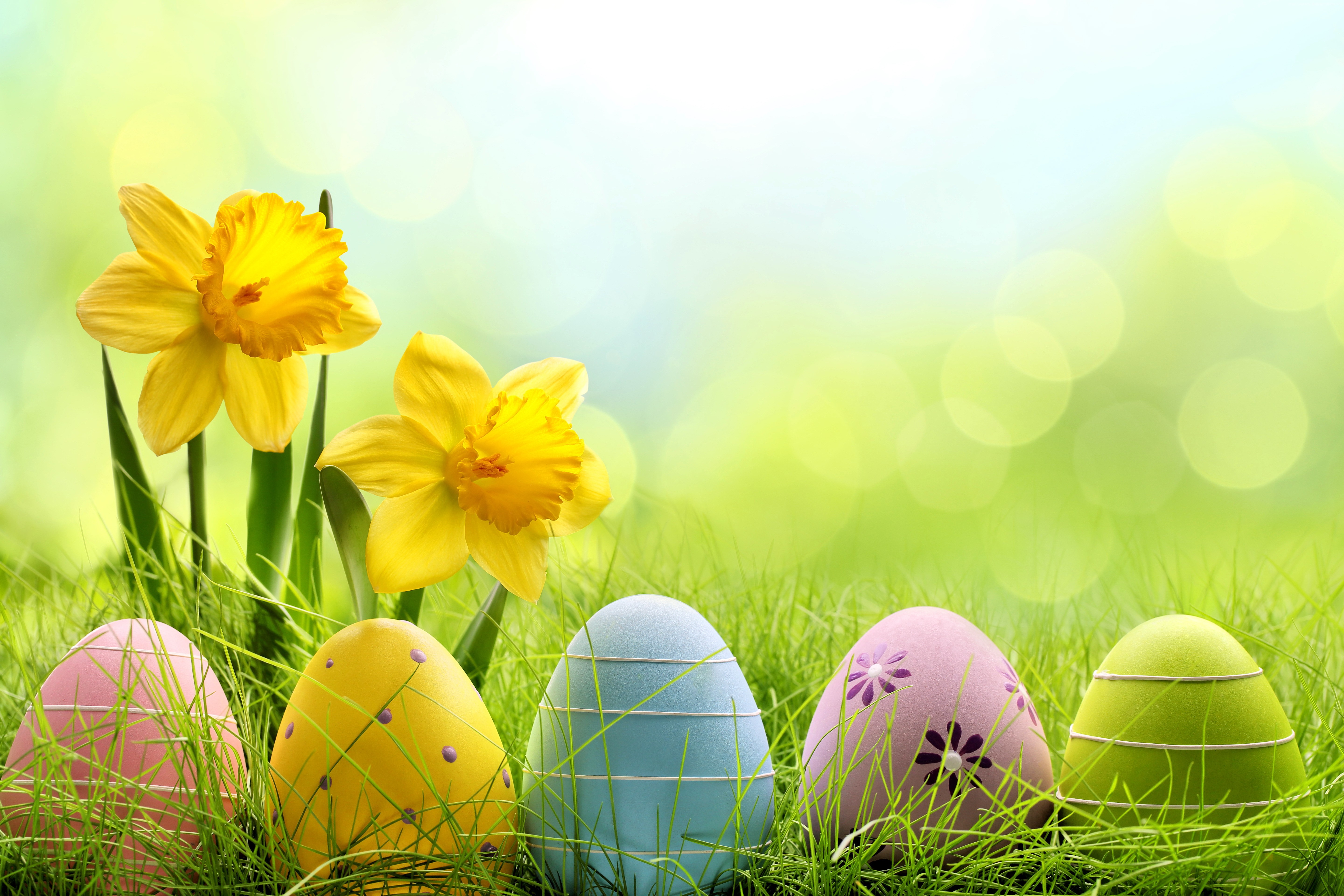 Holiday Easter Egg HD Celebrations 4k Wallpaper Image