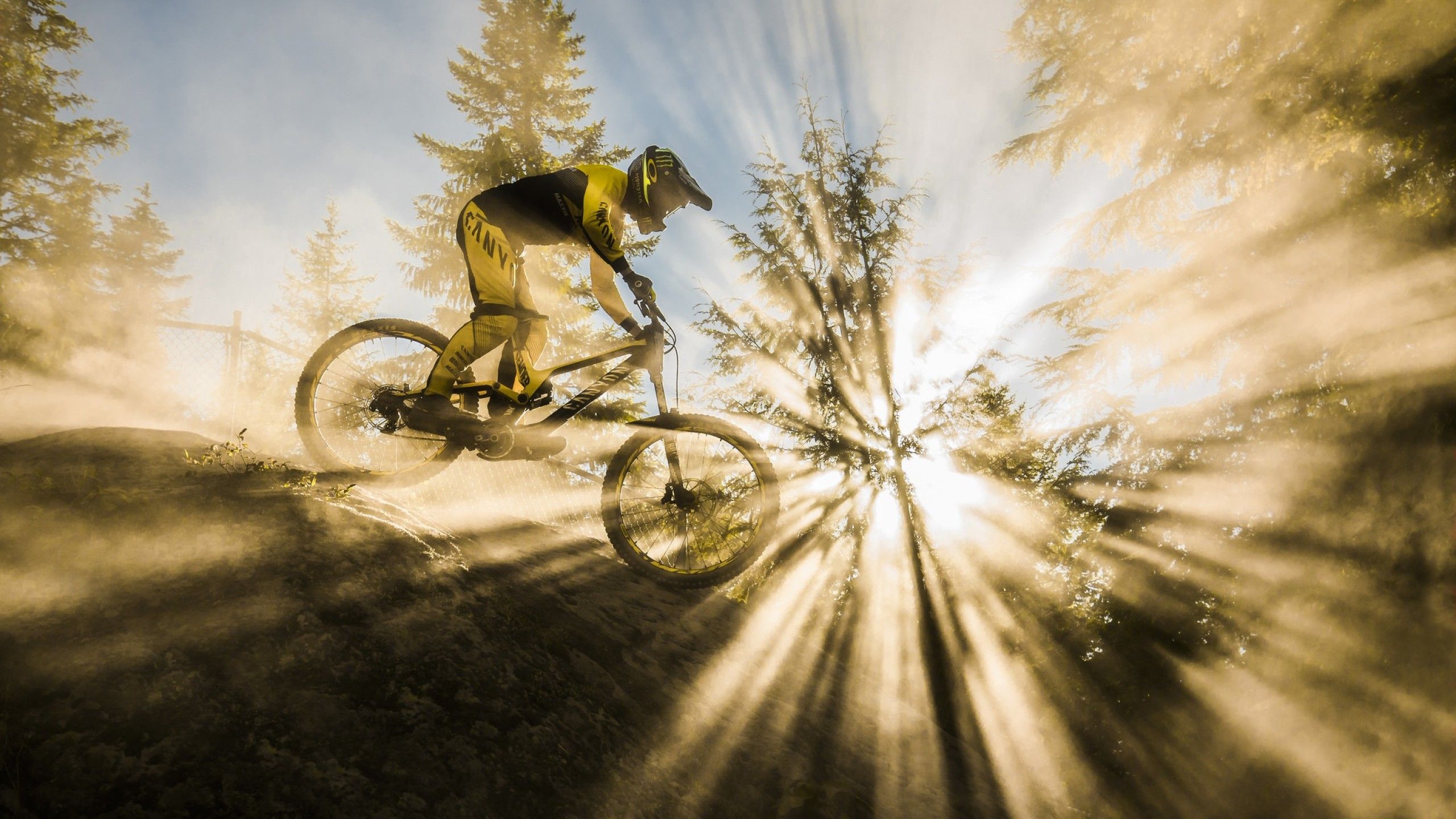 Mountain Bike Wallpaper