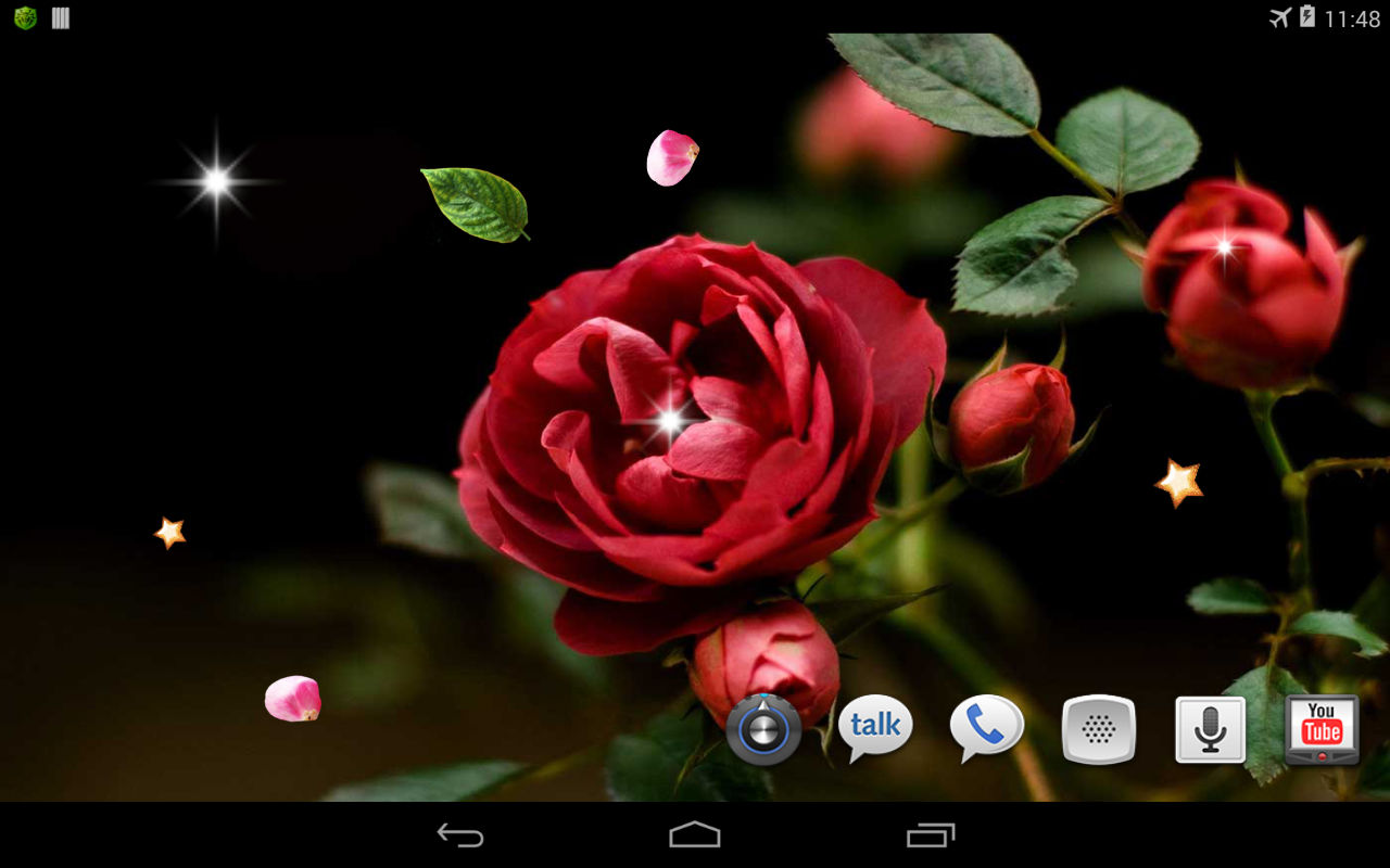 Spring Rose Live Wallpaper Screenshot
