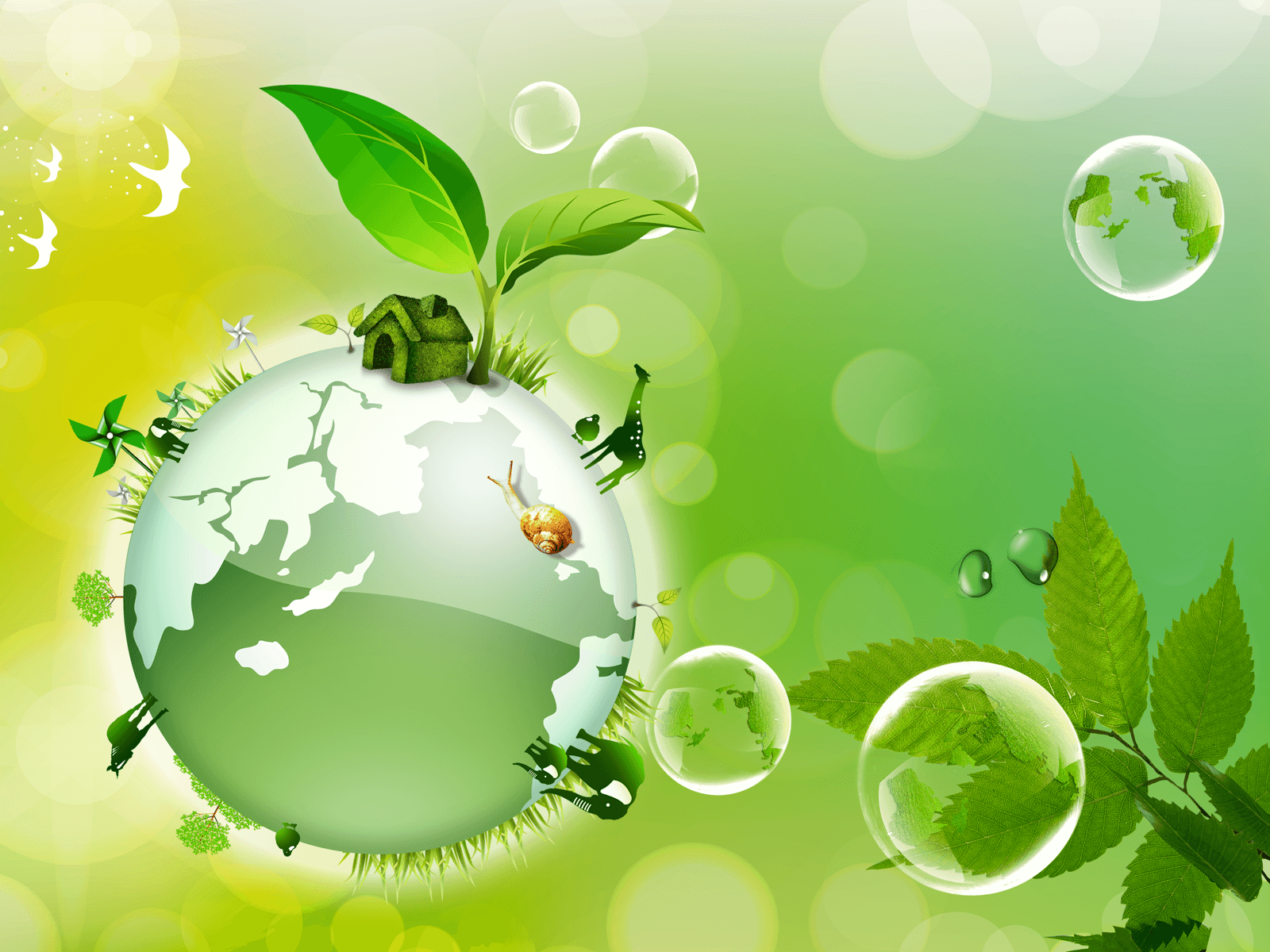 Environmental Desktop Wallpaper Top