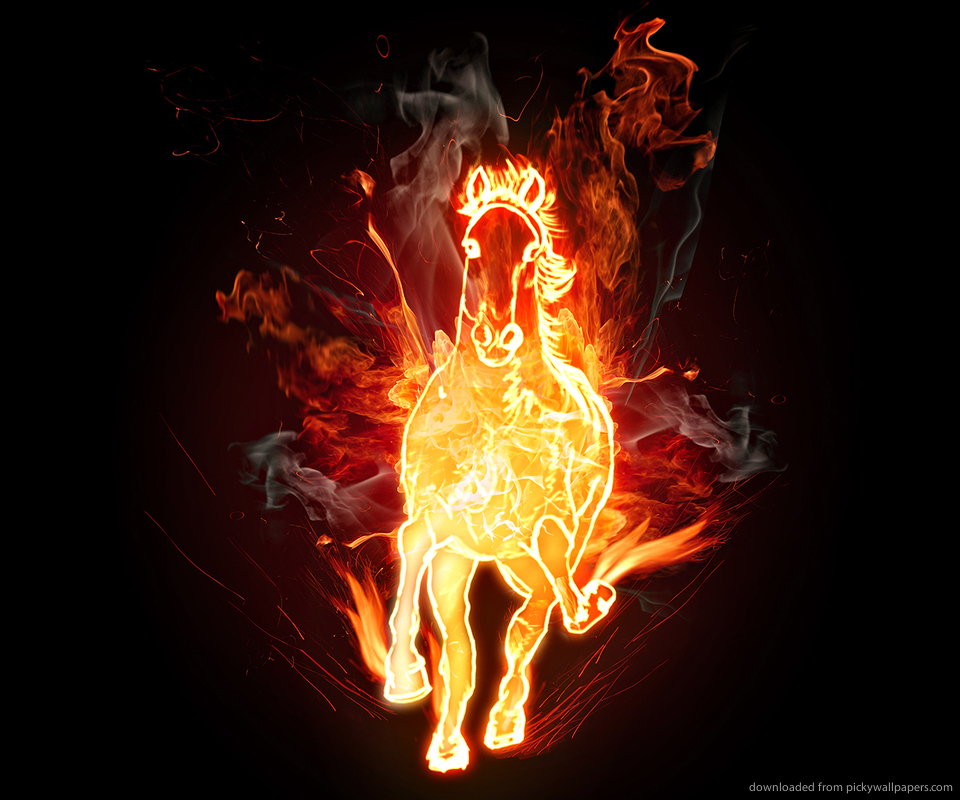[41+] Fire Horse Wallpaper HD on WallpaperSafari