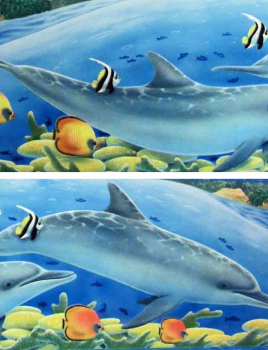 Childrens Rooms Under The Sea Dolphin Wallpaper Border 536x700