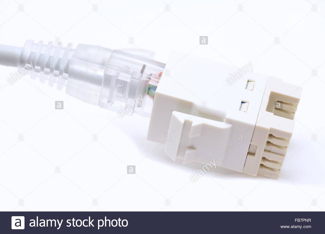Gray Ether Cat5e Cable Plugs To The Rj45 Keystone On A White