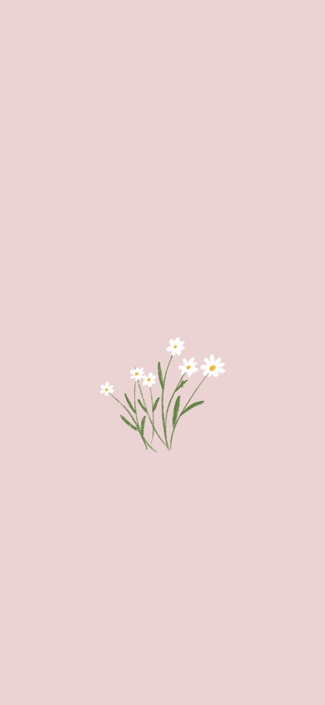Aesthetic Minimalist Wallpaper Flower