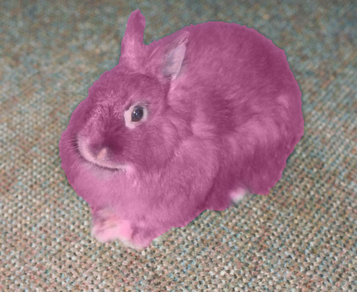 Free download Pink rabbit by the weazle on [735x600] for your