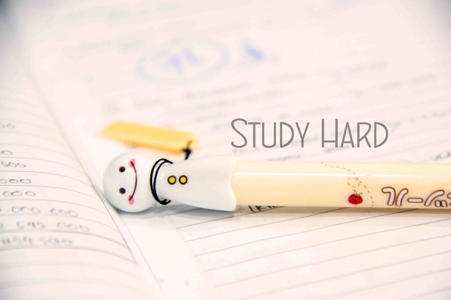 Study Hard By Feinelein