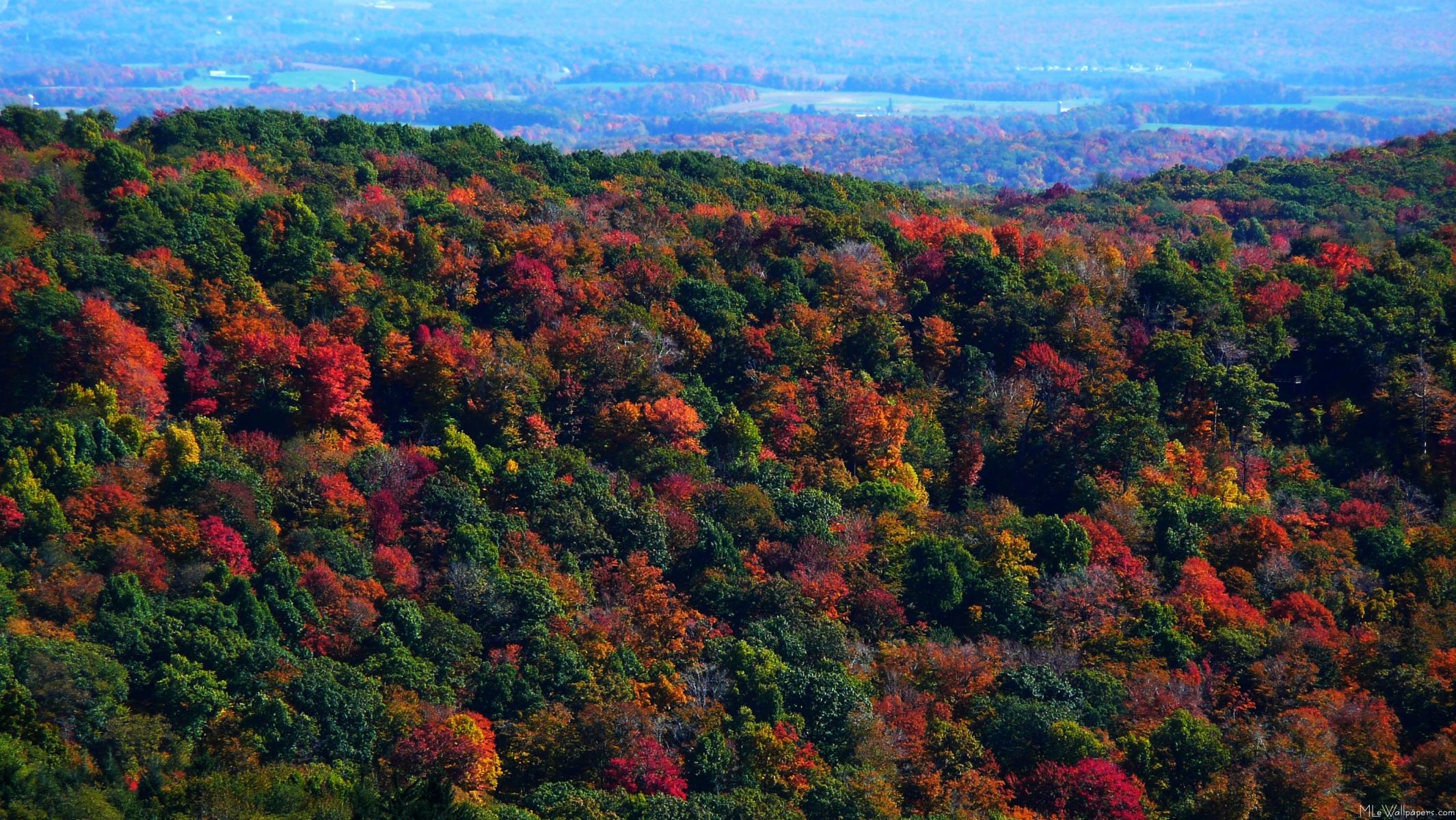 Mlewallpaper Appalachian Mountains In Fall