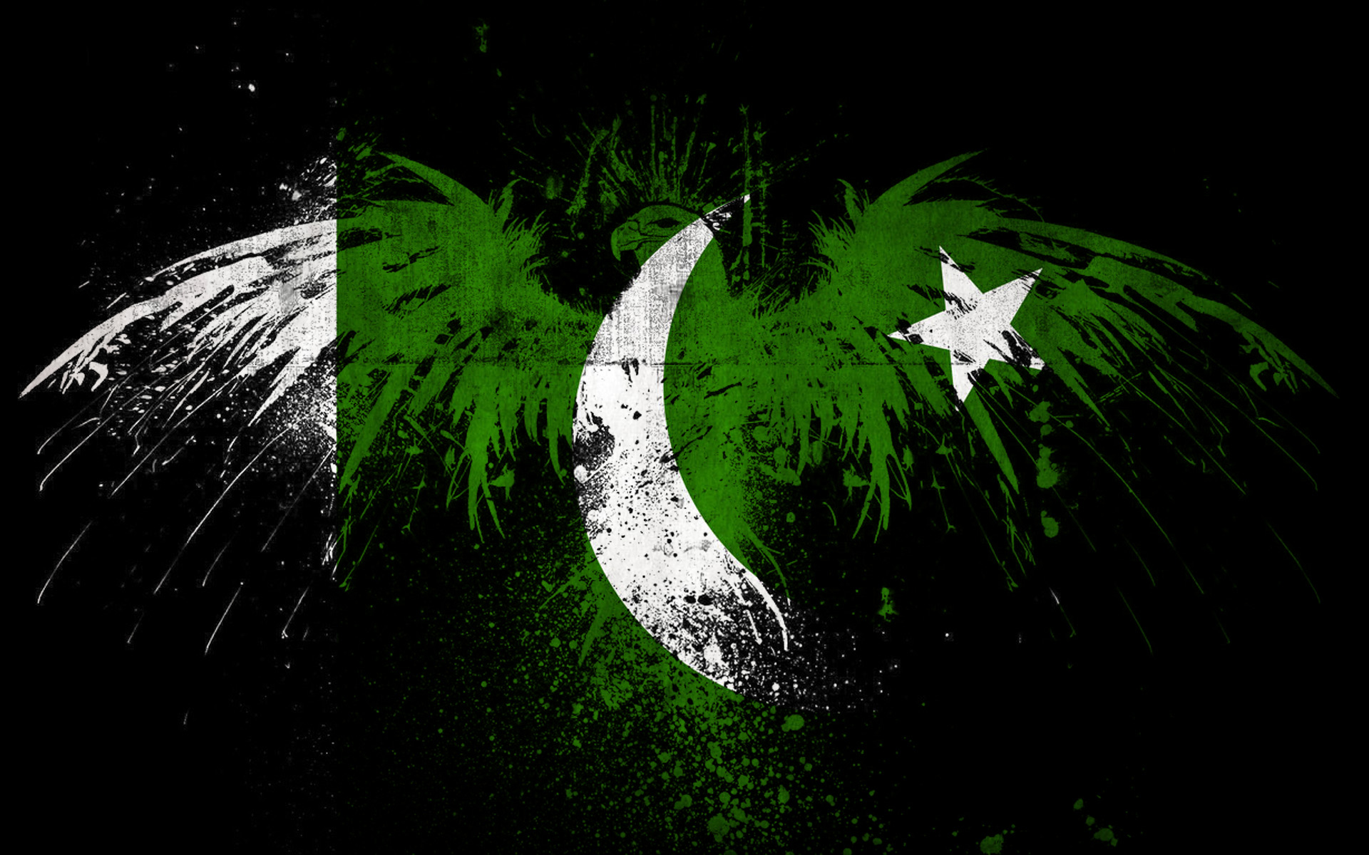 Pakistani Flag HD Wallpaper Background Image Id