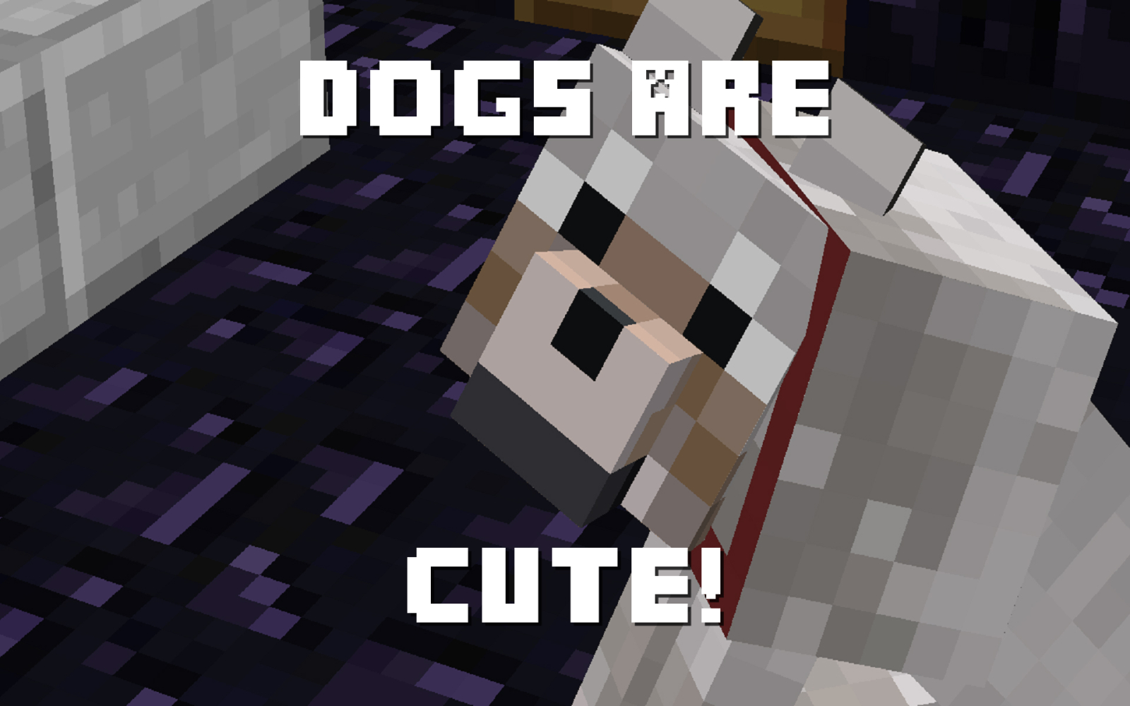 Well Cat S Are Cute Too But Dogs More Famous In Minecraft