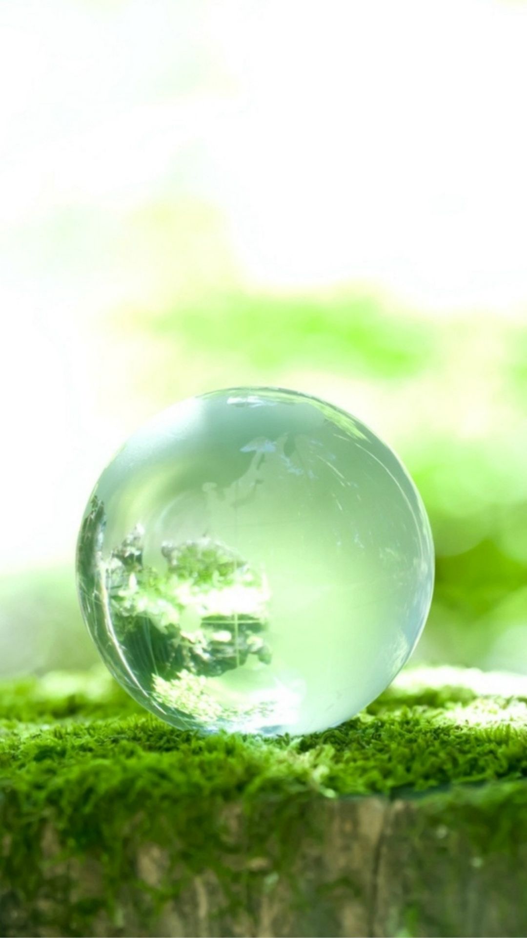 Pure Crystal Cyan Glass Ball Moss Macro iPhone Wallpaper