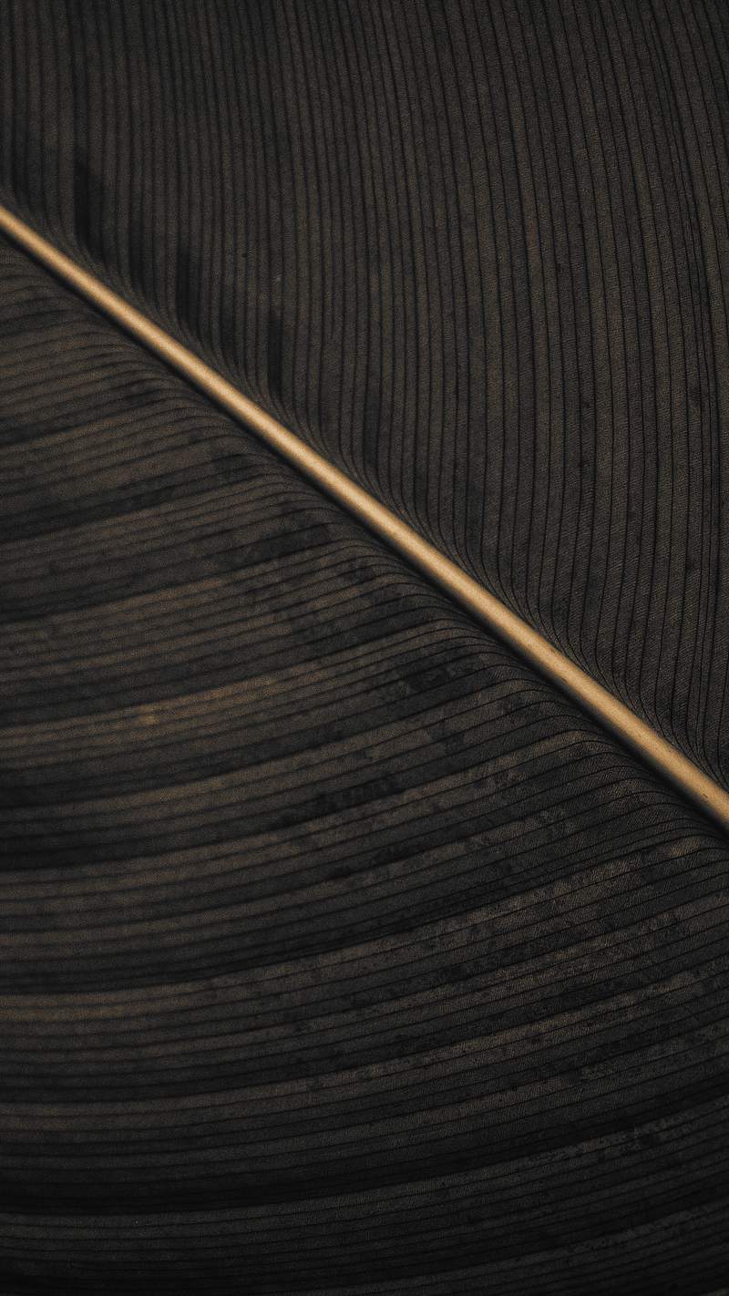 iPhone Wallpaper Dark