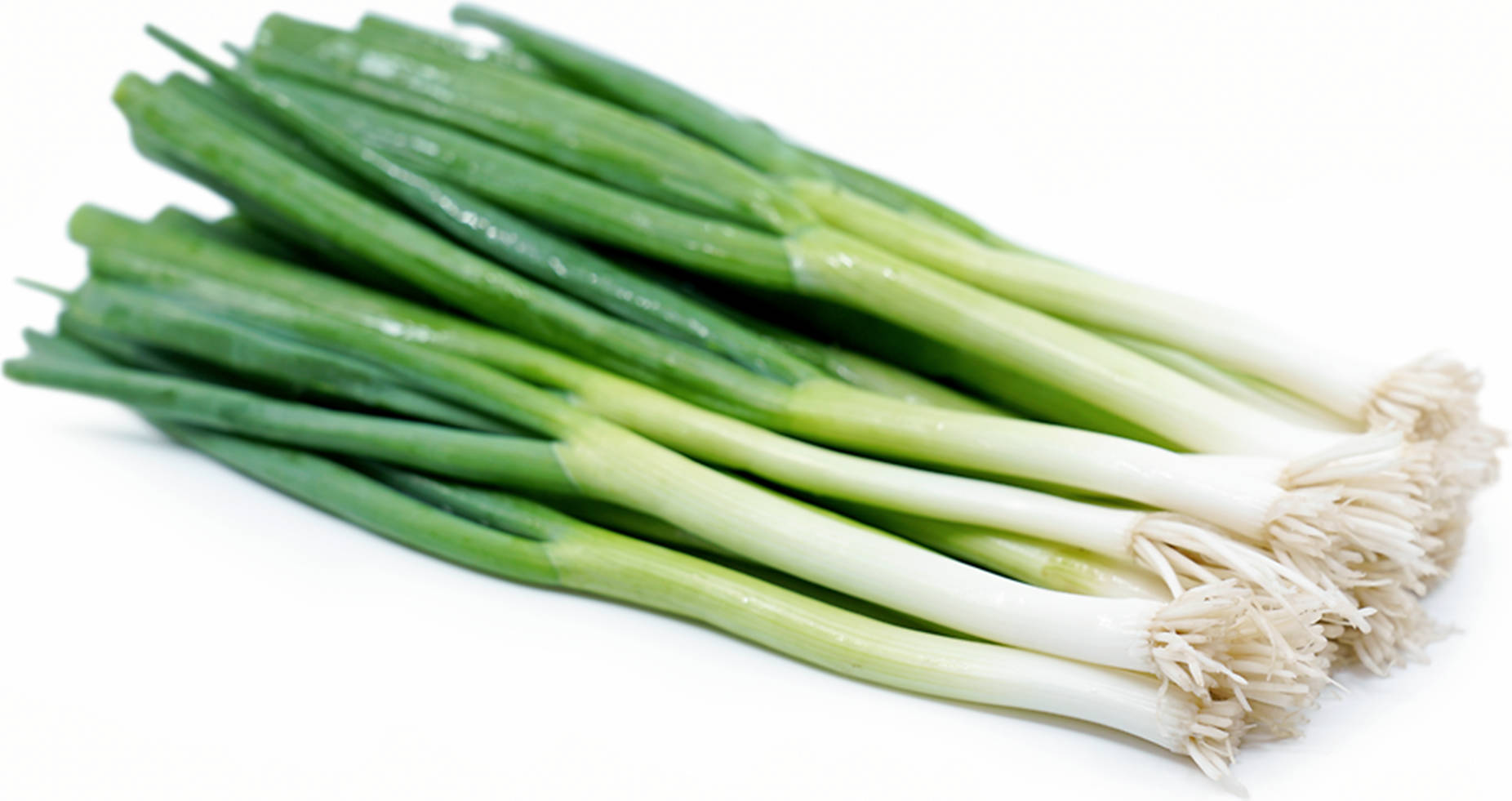 Straightforward Sweated Green Onion Ciz2yhrowalrmzrp Wallpaper