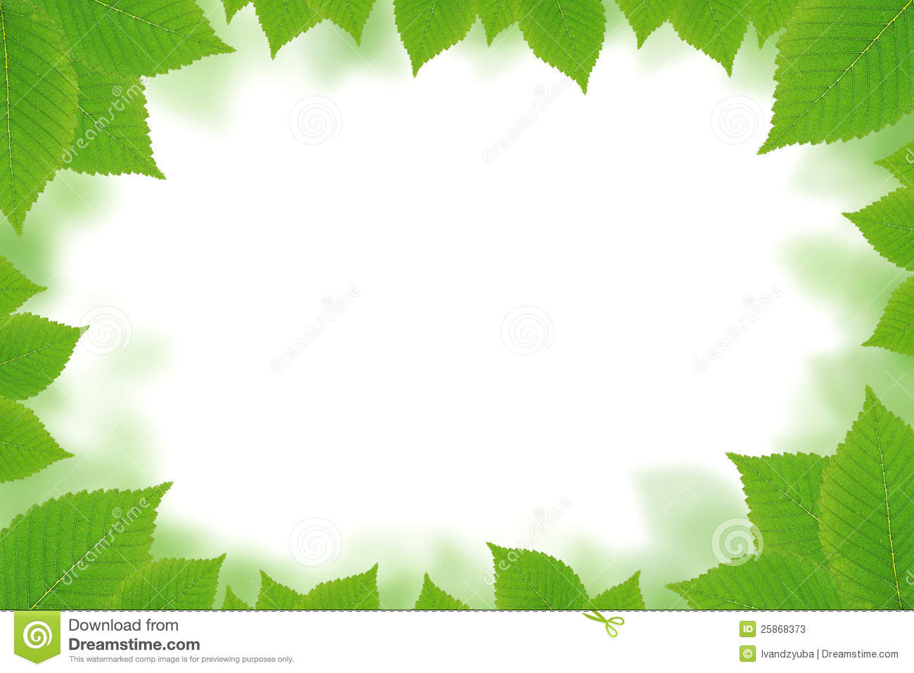 Free download Green Leaf Wallpaper Border HD Wallpapers on [1300x957] for your