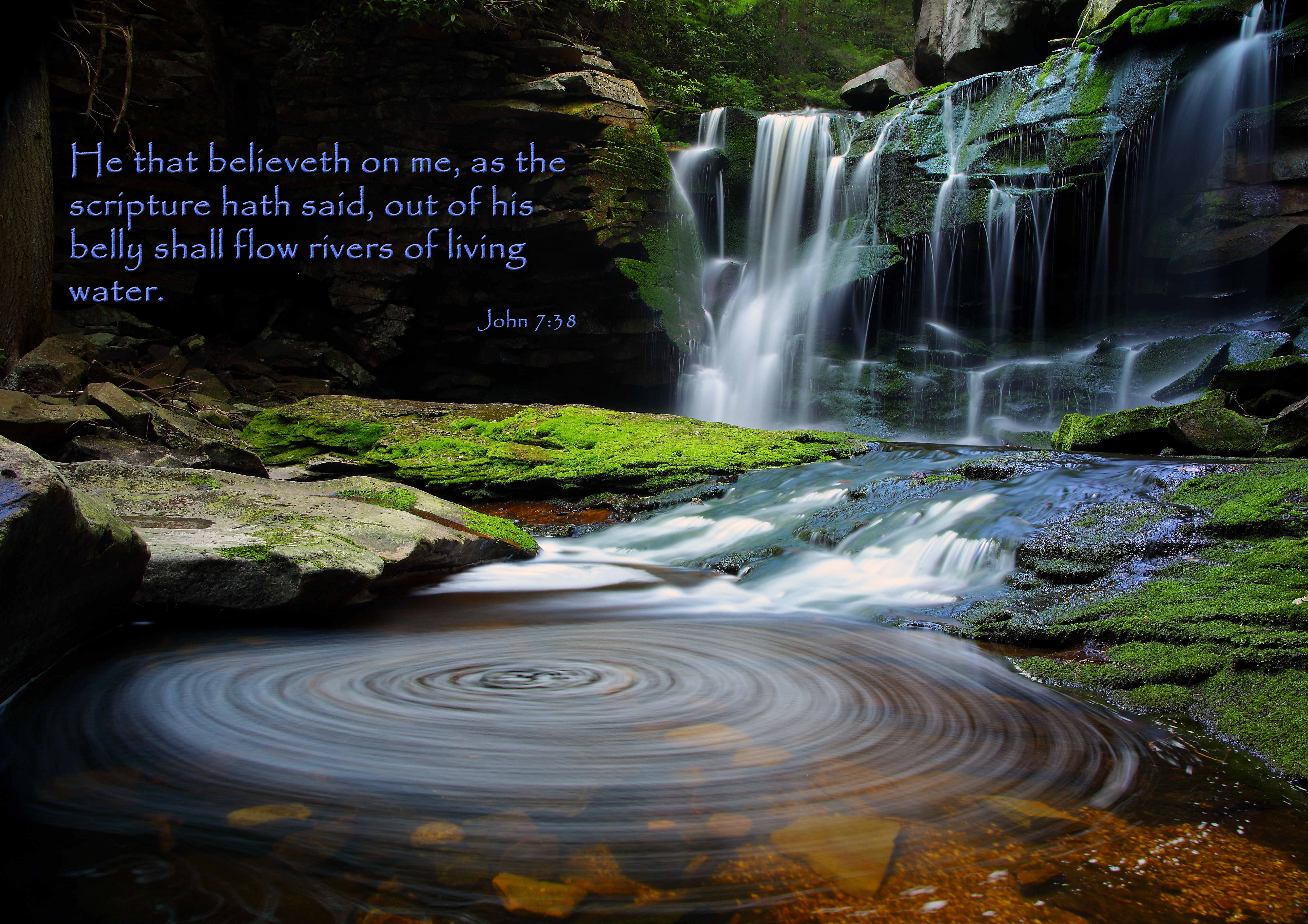 Wallpaper Scripture Art Nature Pictures By Forestwander