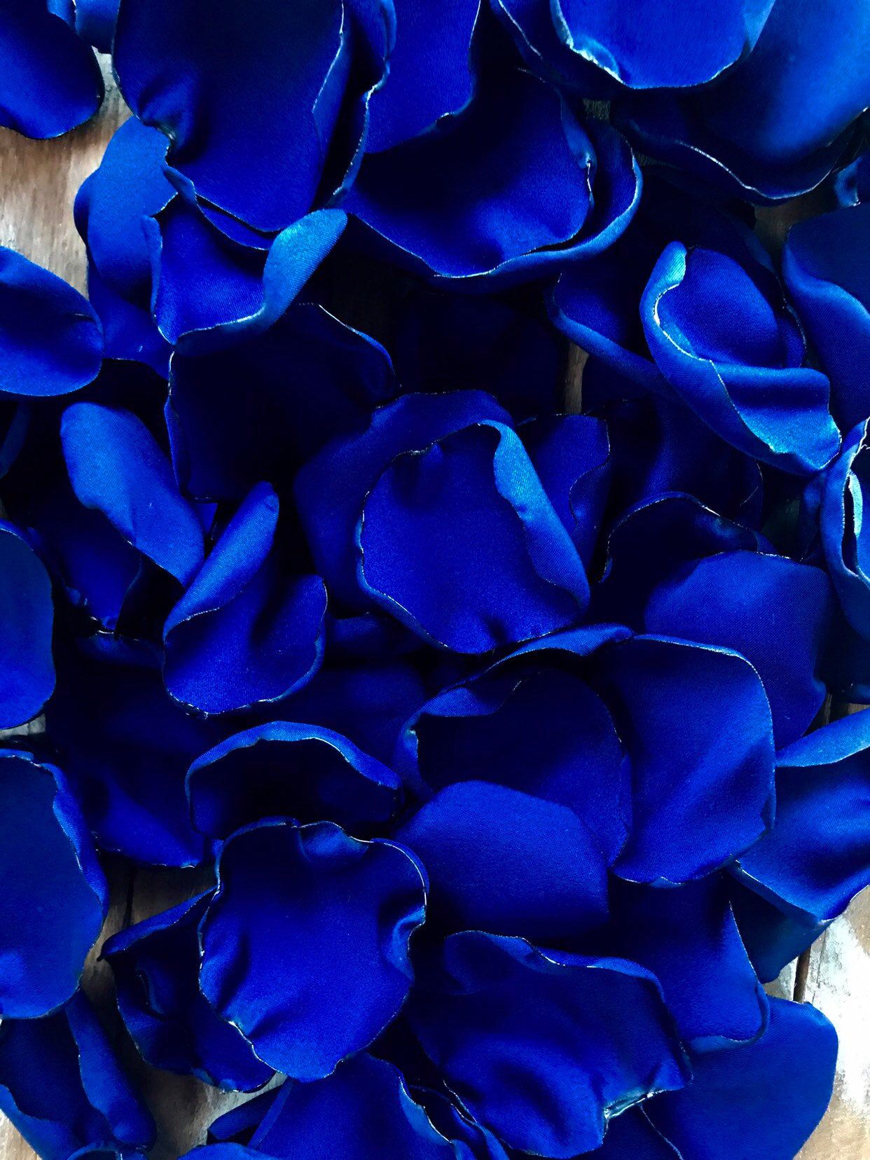 Royal blue by Dalia Squires Red colour  Blue art Blue Royal Aesthetic  HD phone wallpaper  Pxfuel