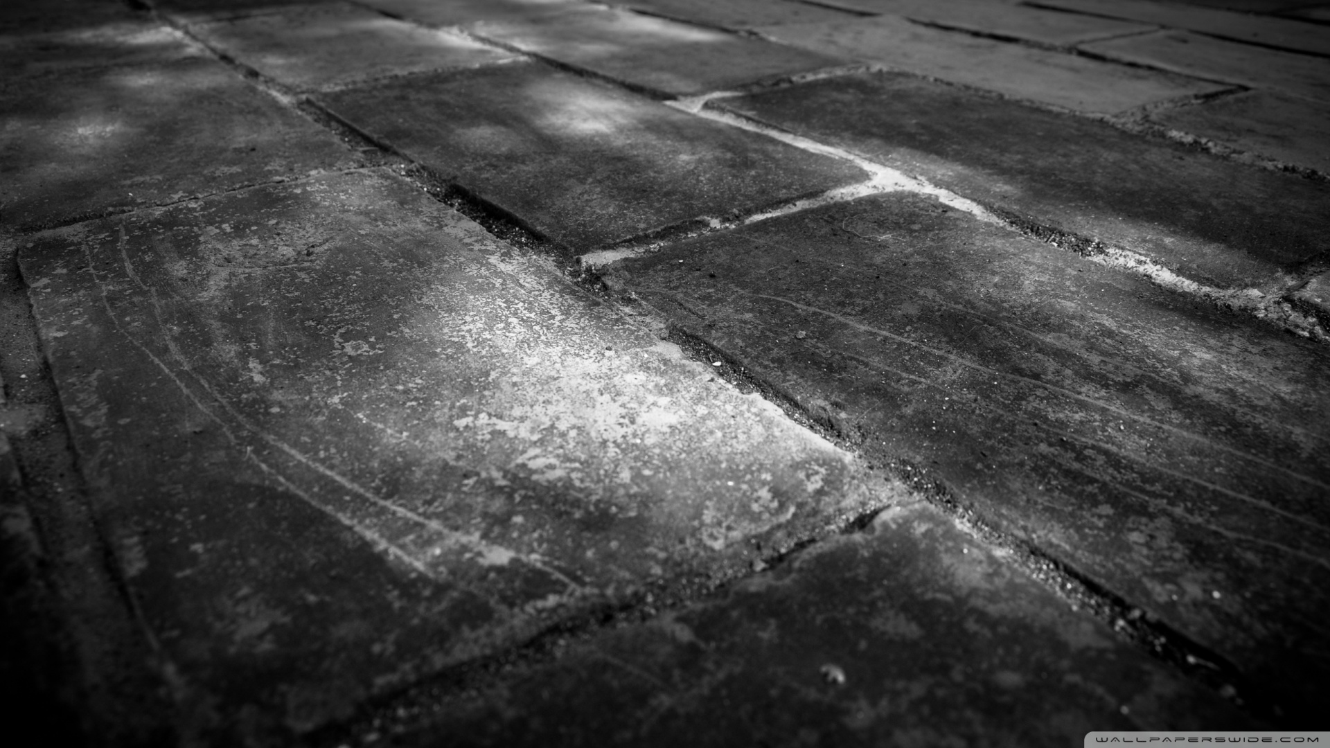 Bricks Wall Black And White Wallpaper