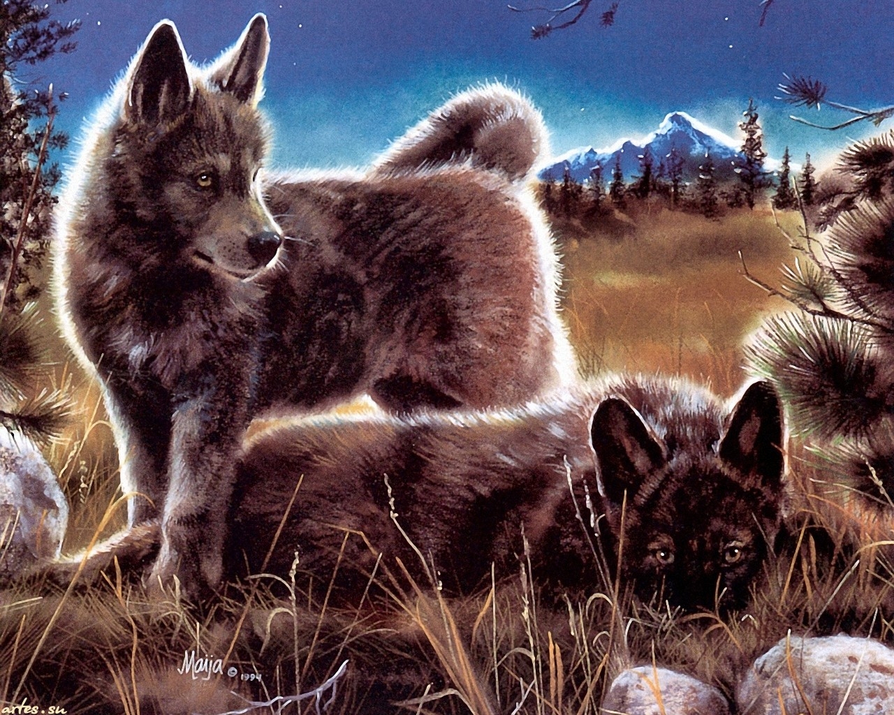 Wolf Cubs Resting Desktop And Mobile Wallpaper Wallippo
