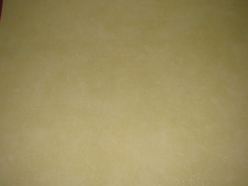 rolls brunschwig fils tuscan texture in vinyl wallpaper dbl rolls 800x600
