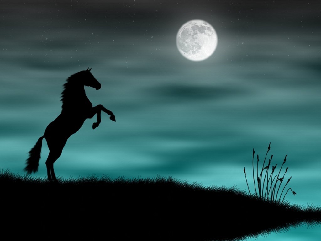 World S All Amazing Things Picture Image And Wallpaper