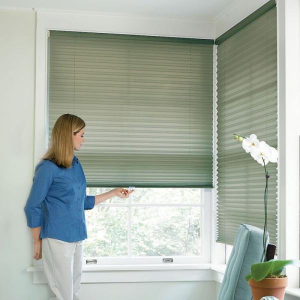 Free download Related to Steves Blinds and Wallpaper