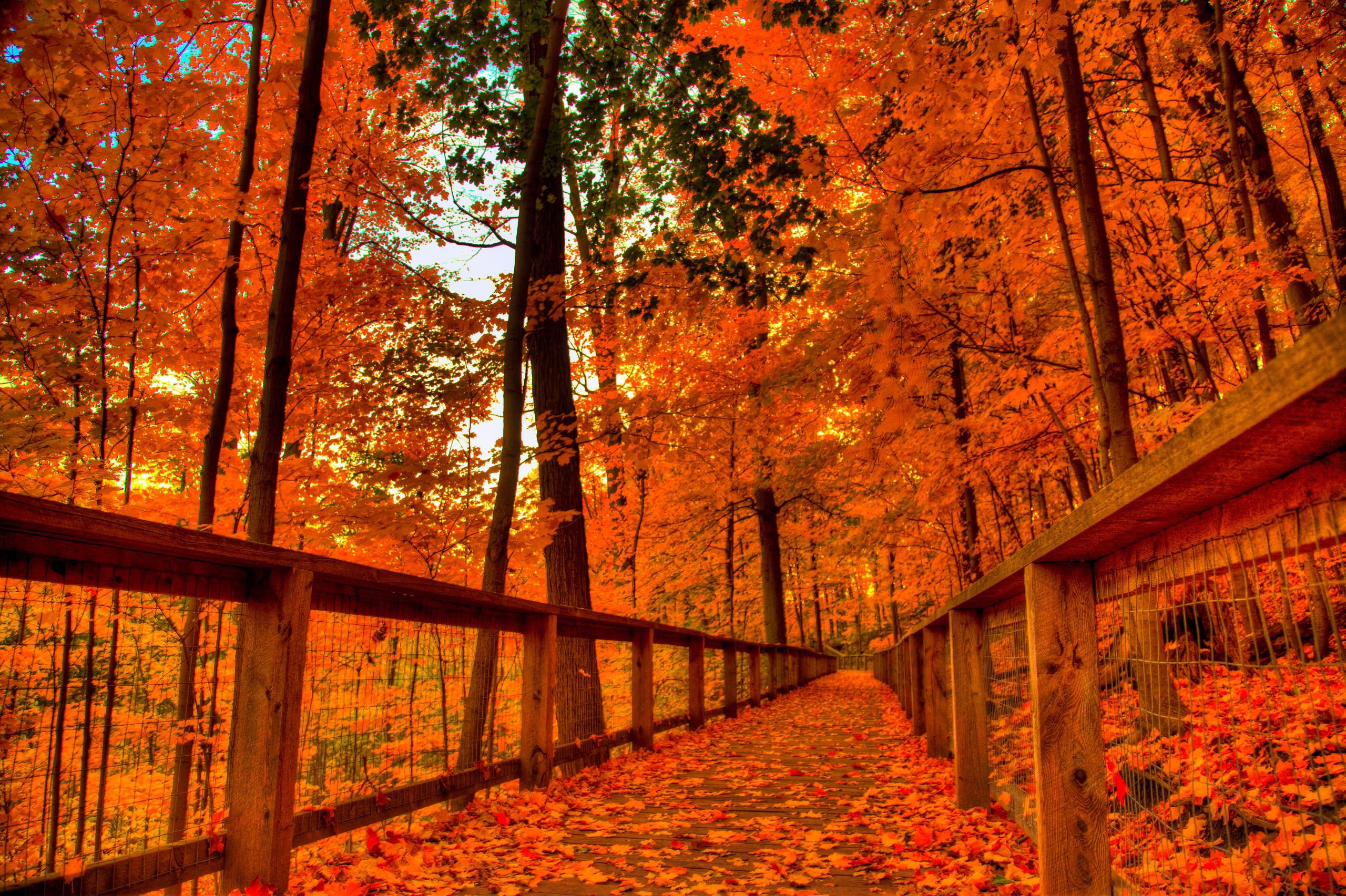 New England Fall Wallpaper