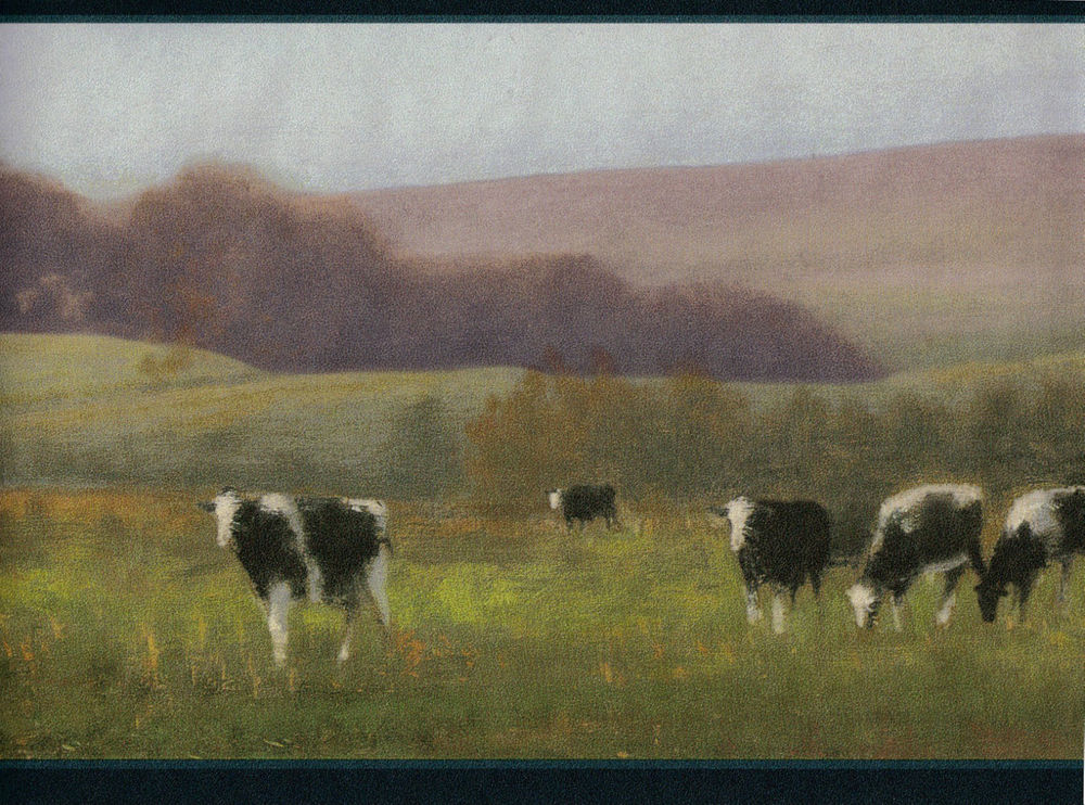Free download Roll Wallpaper Border Country Rolling Hills Cows Home