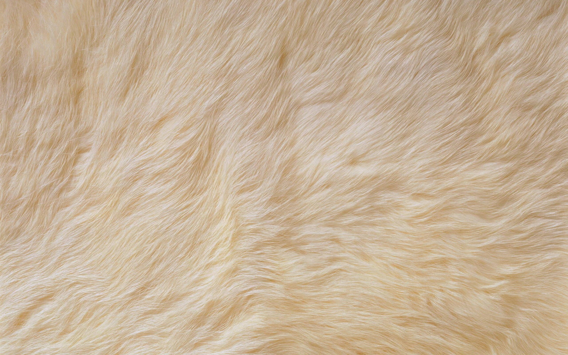 Animal Fur For Cushion N3y255wu0wbc9kac Wallpaper