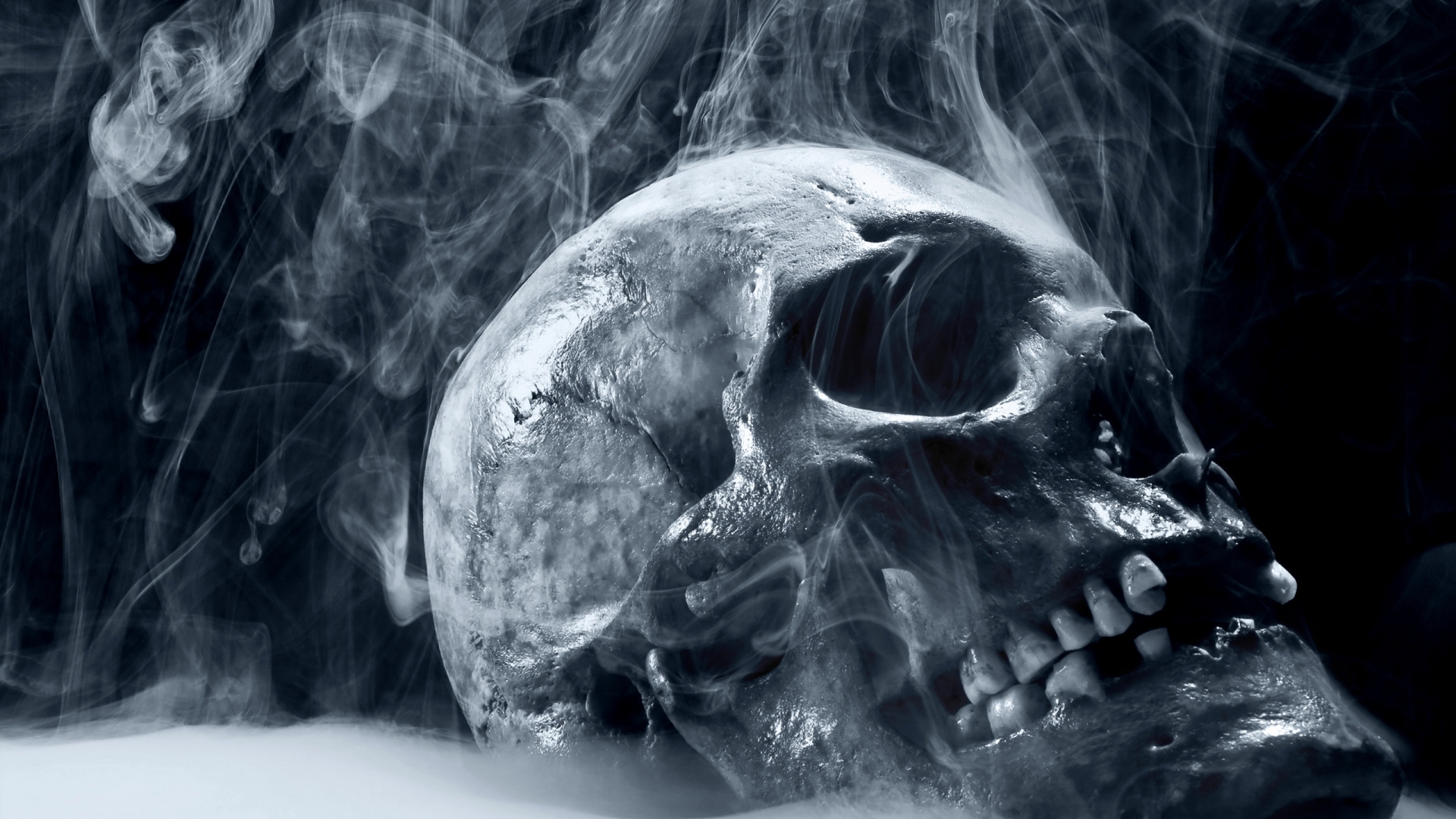 Scary Skull Wallpaper For Desktop HD