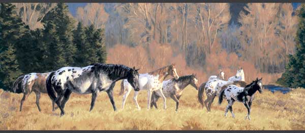 Appaloosa Horse Wallpaper Border Clearance Quantities Limited