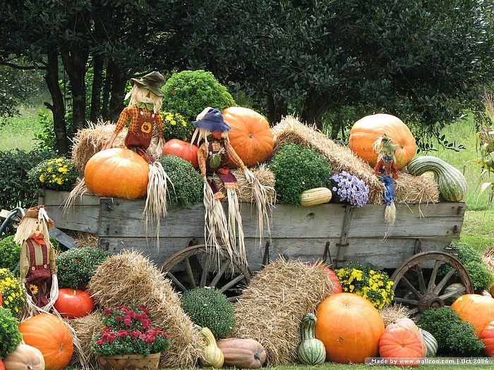 Pumpkin Display Pumpkins And Scarecrows On Wagon Wallcoo