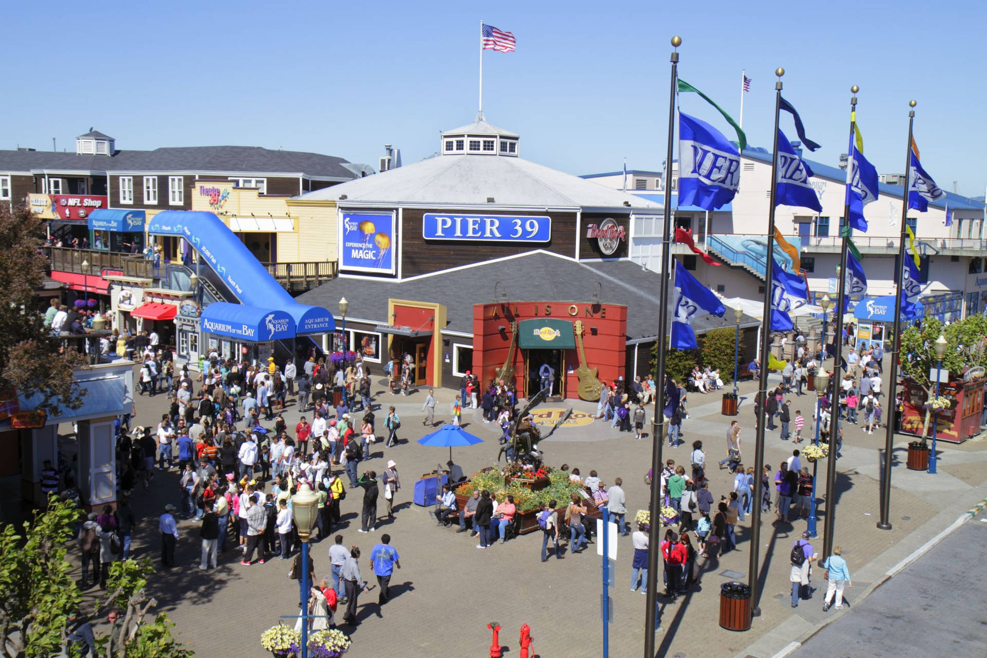 Fishermans Wharf Wallpaper