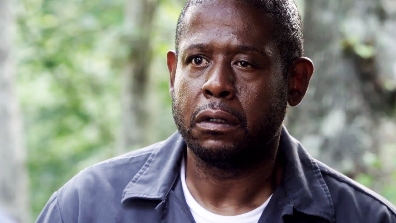 Find more Pictures of Forest Whitaker Pictures Of Celebrities. 