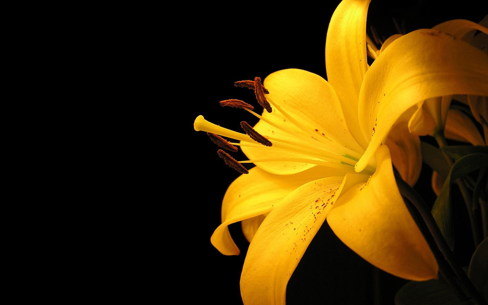 Black And Yellow Meaning Desktop Wallpaper