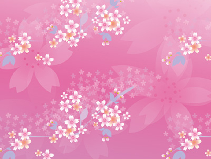 Cherry Blossom Pattern Spring High Quality Image You