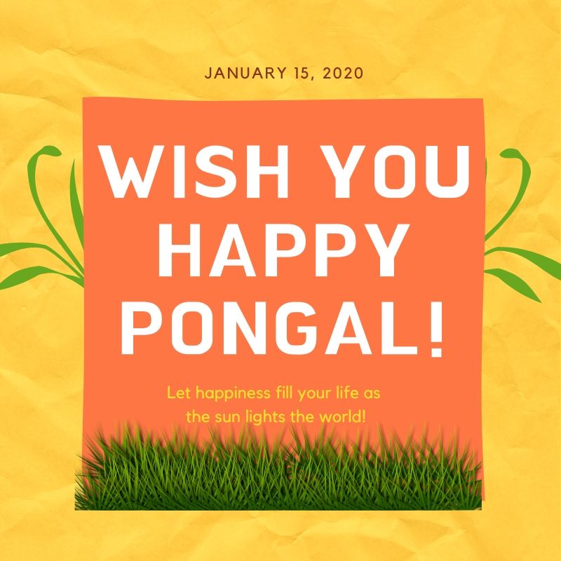 Happy Pongal Image Wishes Quotes Wallpaper Muddoo