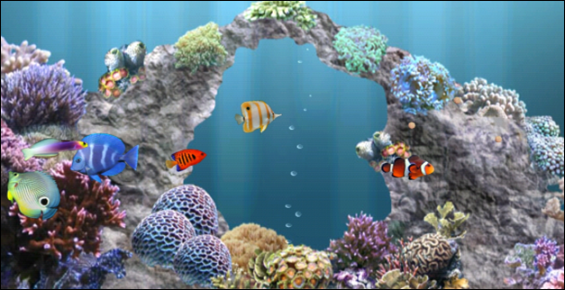  fish species to grow aniPet Aquarium is a live wallpaper simulates a