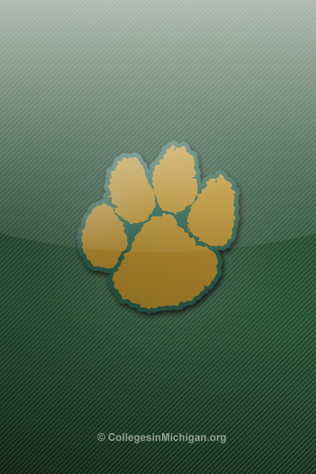 michigan state wallpaper for iphone   wwwhigh definition wallpaper