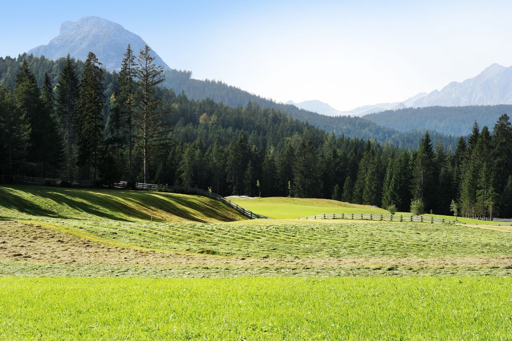 Best Mountain With Green Forest And Grass Fields In Austria